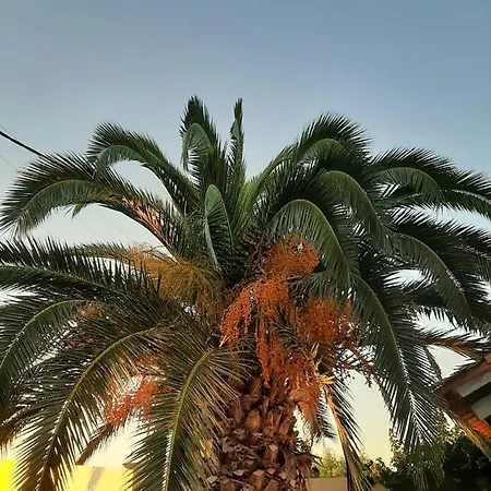 Casa vacanze Rianna Theológos