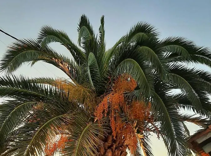 بيت للعطل Rianna Theológos